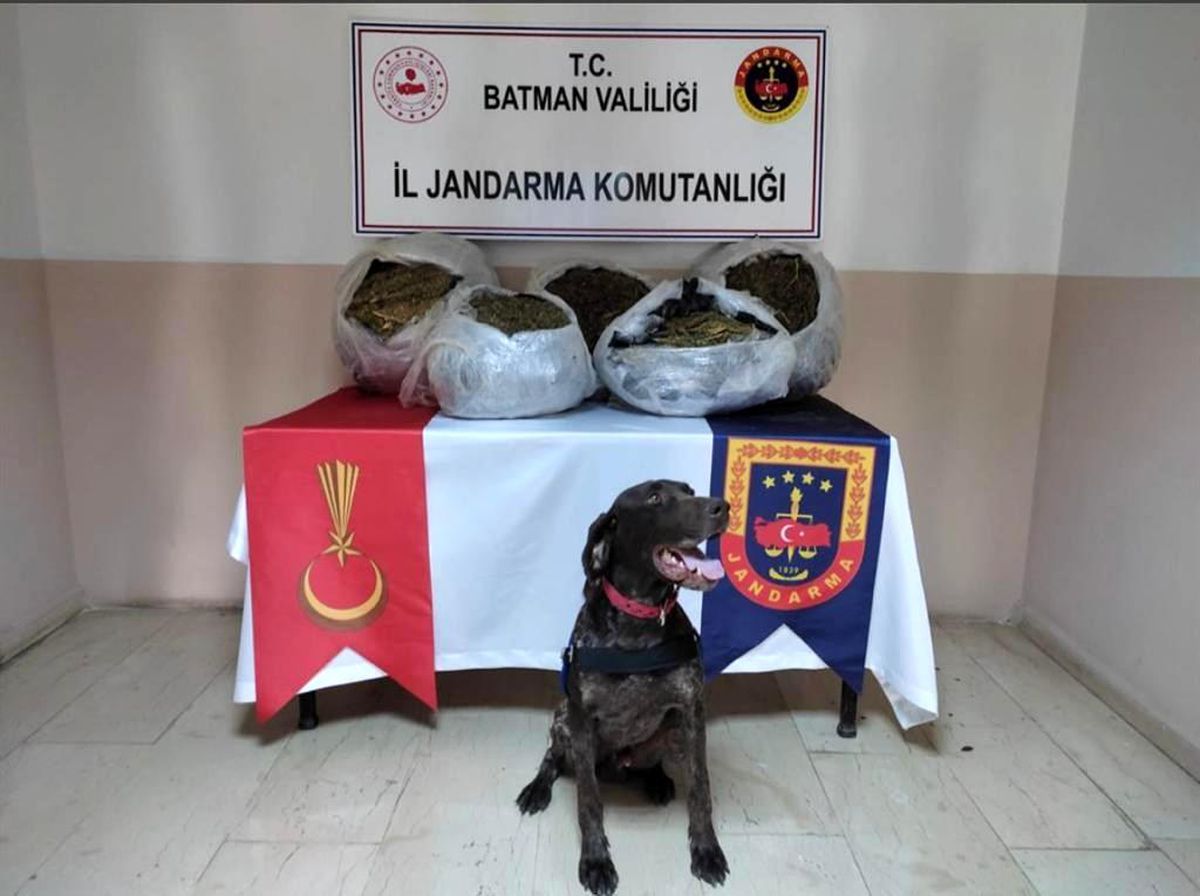 JASAT, Batman\'da bir yılda 131 olayı aydınlattı