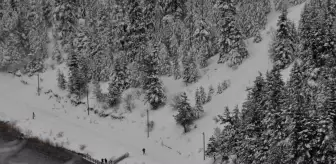 Kar altındaki Abant'ı binlerce doğa tutkunu ziyaret etti