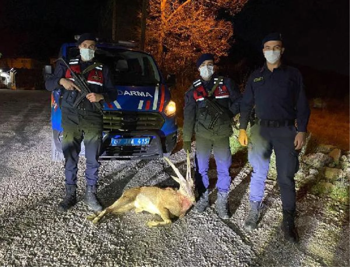 Koruma altındaki yaban keçisini avlayan 3 kişiye para cezası