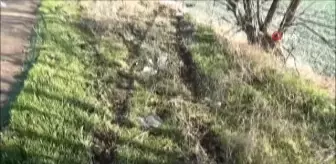 Otomobil şarampole yuvarlandı