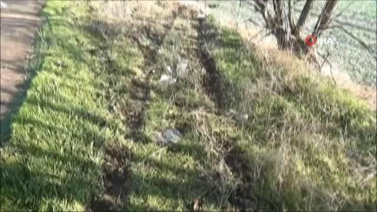 Otomobil şarampole yuvarlandı