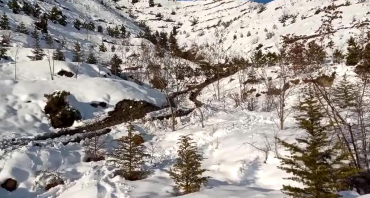 Artvin\'de dehşete düşüren olay! Boğarak katlettiği eşini boş araziye gömüp 3 yıl sonra teslim oldu