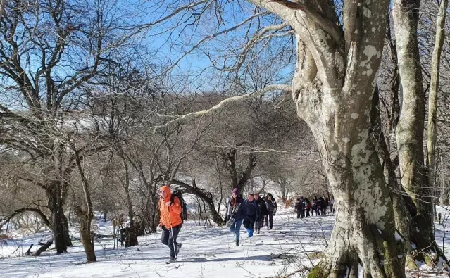 Doğaseverler Trakya'nın zirvesi Mahya Dağı'na tırmandı