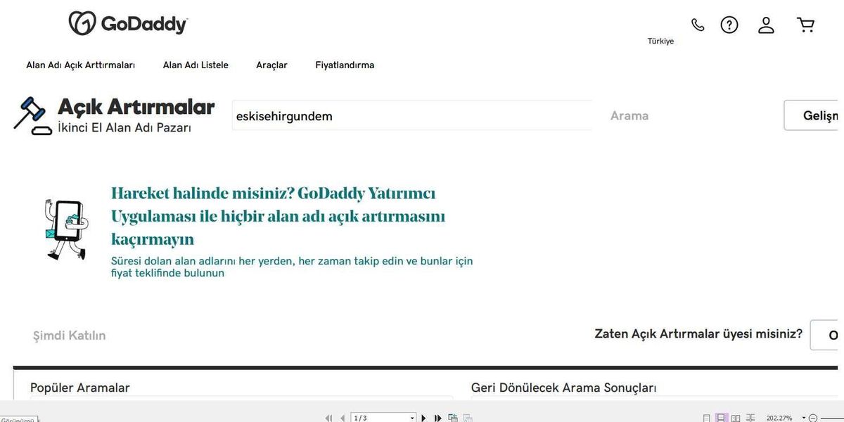 Godaddy\'in gasp ettiği internet alan adlarını açık artırmayla satışa çıkardığı iddia edildi