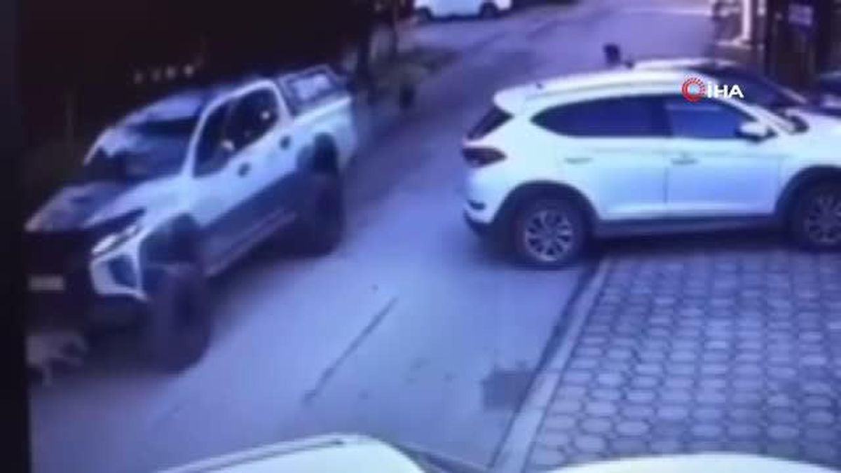 Göz göre göre köpeği ezmişti, o sürücü yakalandı