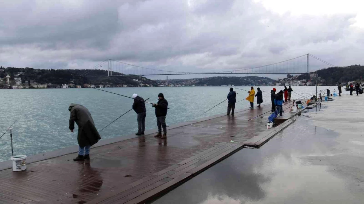 İstanbul\'un hasta balıklarını görüntüledi