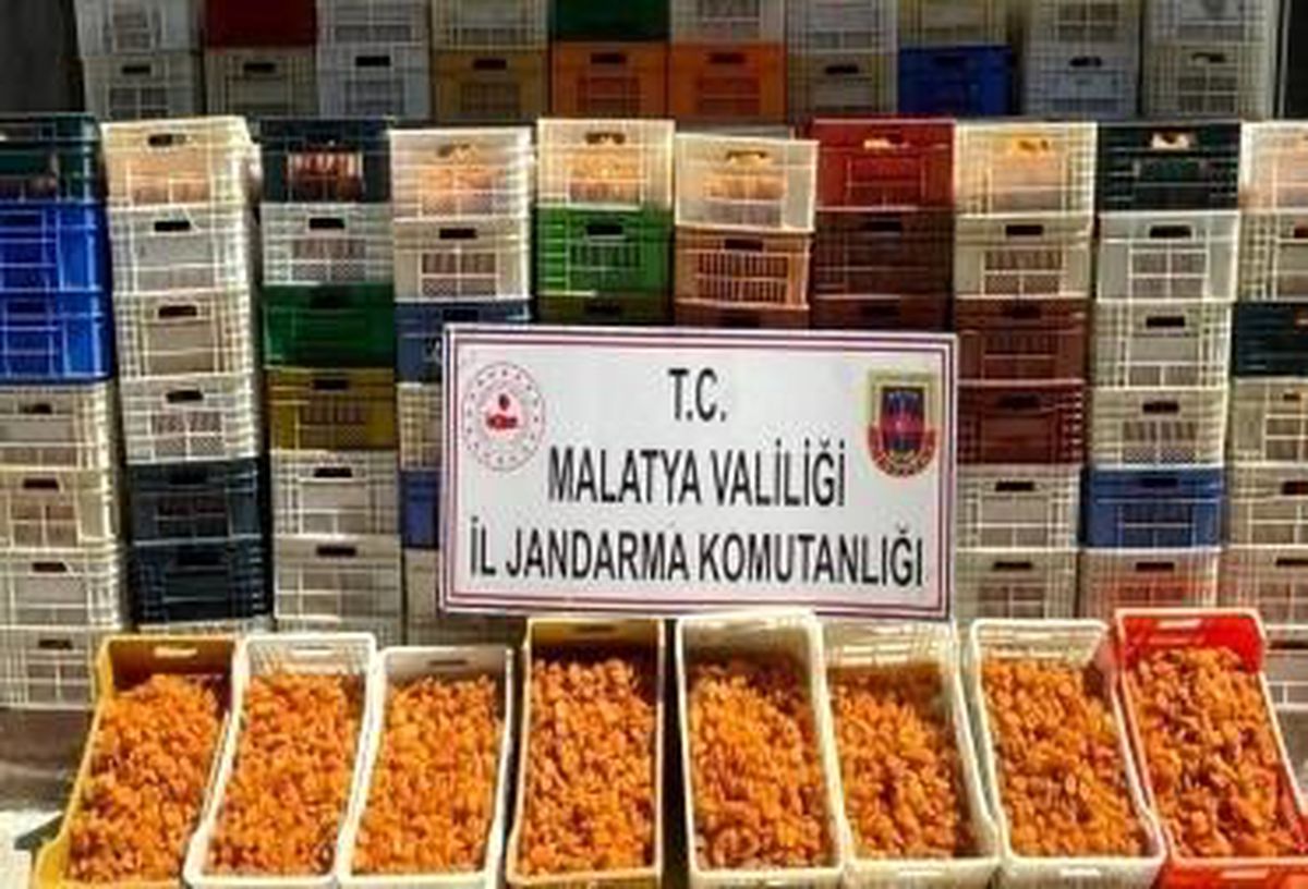 JASAT suçlulara göz açtırmadı
