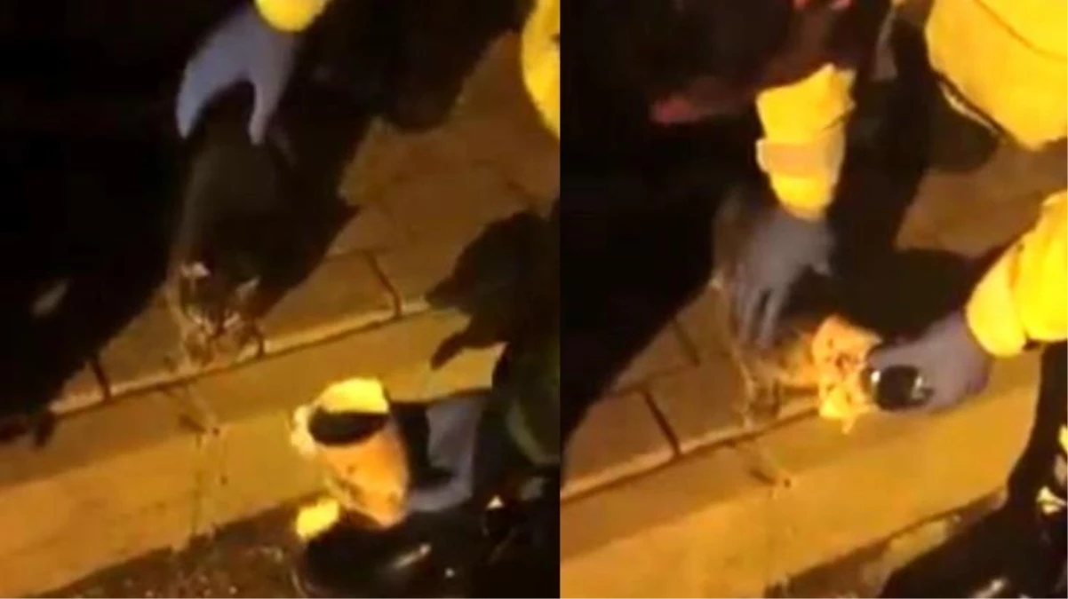 Kafası konserve kutusuna sıkışan yavru kediyi polis ekipleri kurtardı