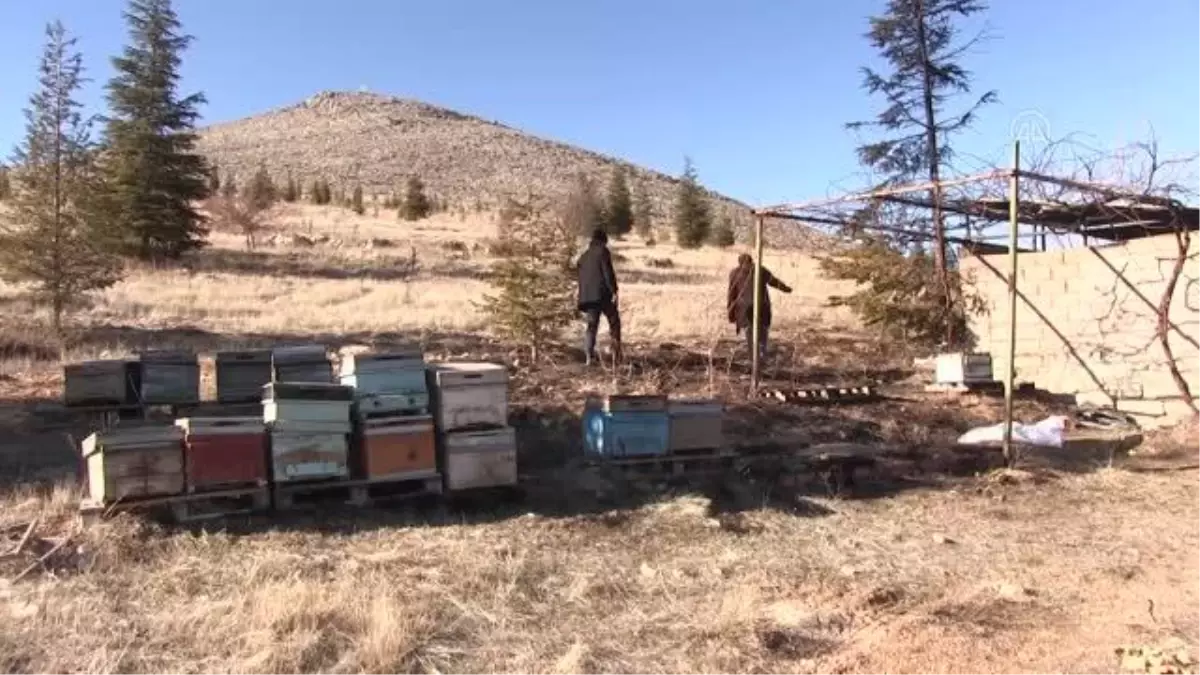 KAHRAMANMARAŞ - Bir kişi arı kovanlarının yakıldığı iddiasıyla şikayetçi oldu