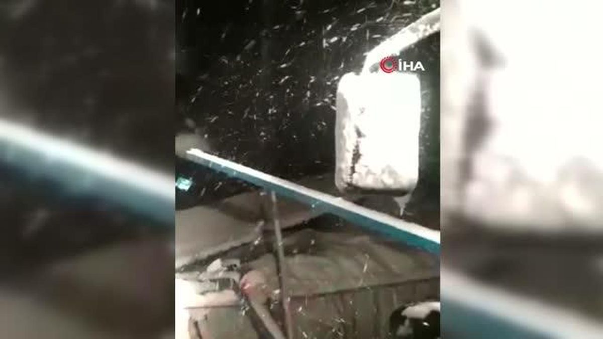 Kar yağışı nedeniyle ahır çöktü, 10 hayvan telef oldu