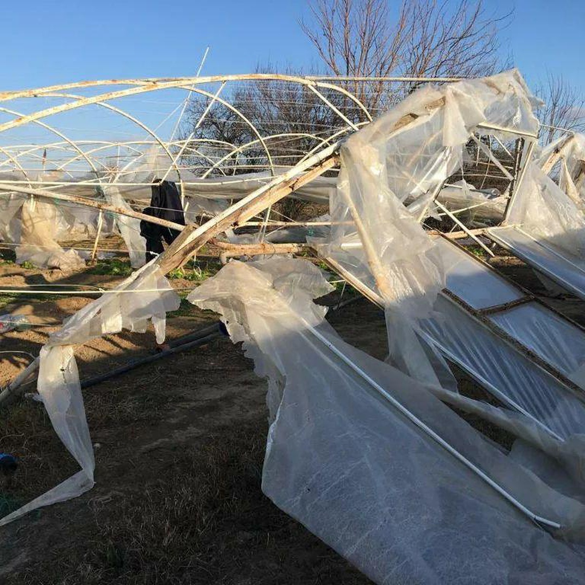 Kırklareli\'deki fırtınada zarar gören üreticilere yardım edilecek