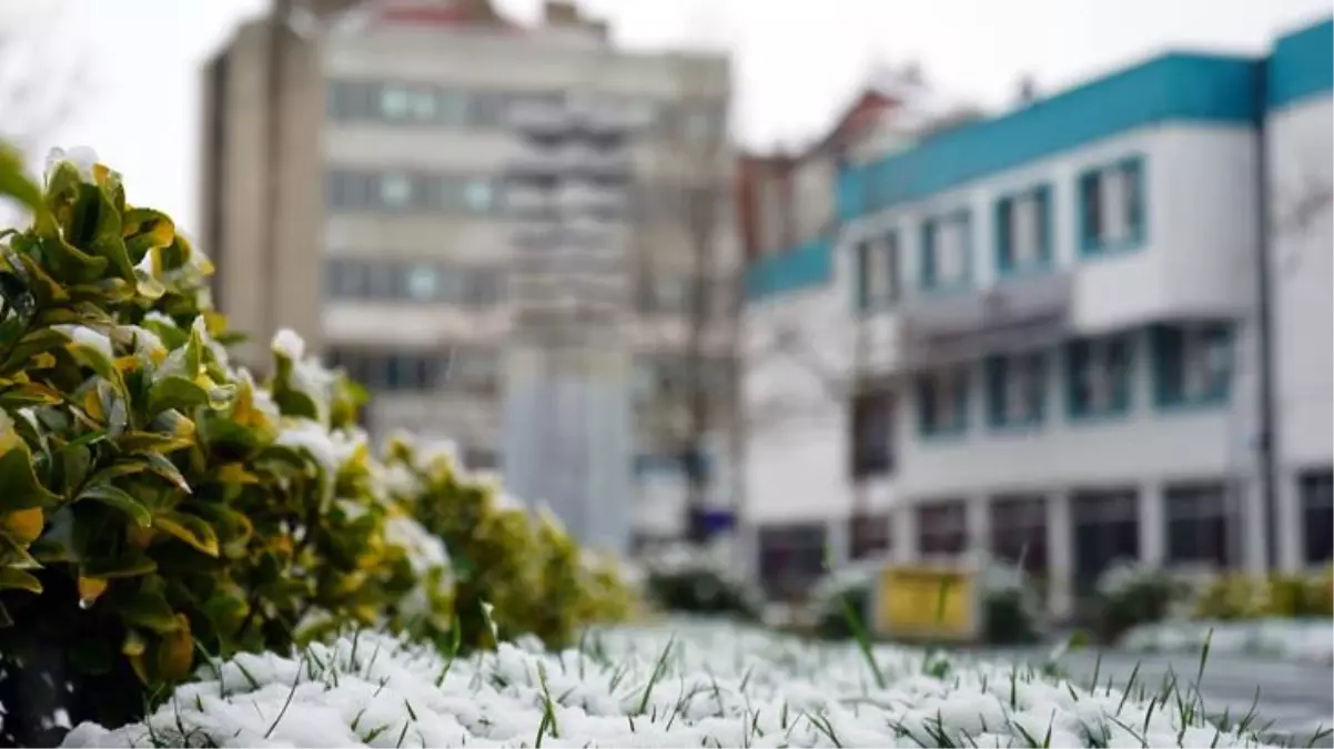 Lüleburgaz Belediye binası metaversede 10 dolara satıldı