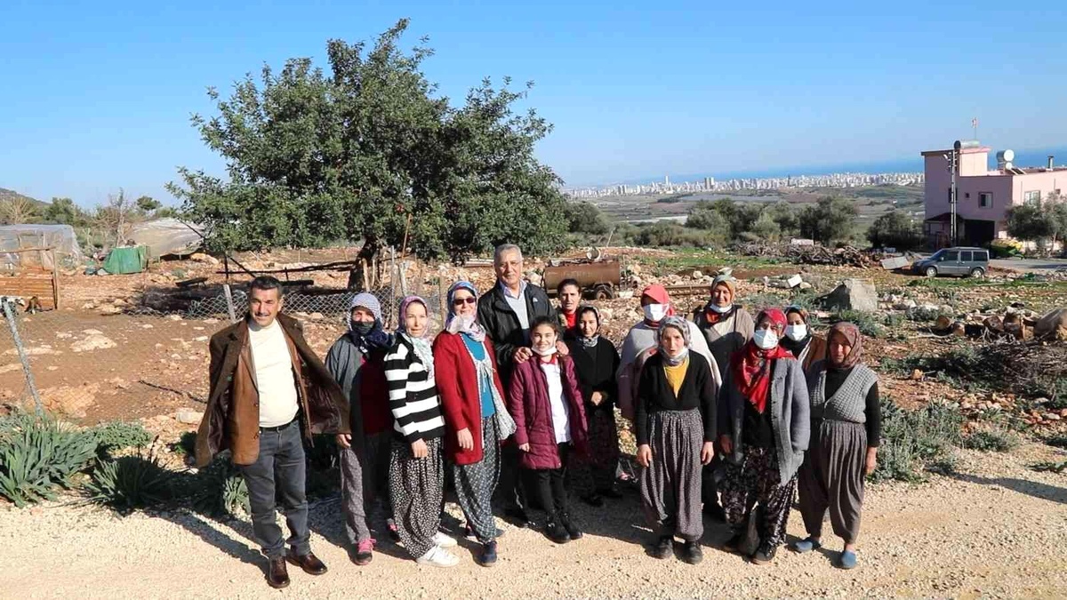 Mezitli Belediyesi, Bozön\'de orman dışına çıkarılan alan için başvuruda bulundu