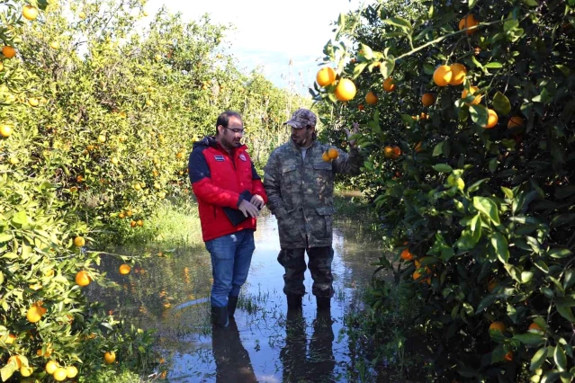 Muğla'daki yağışlar sonrası hasar tespit çalışmaları yapıldı