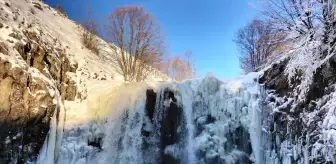 Ordu'da şelale buz tuttu