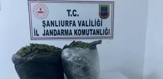 Son dakika... Şanlıurfa'da 20 kilogram esrar ele geçirildi, 1 şüpheli gözaltına alındı