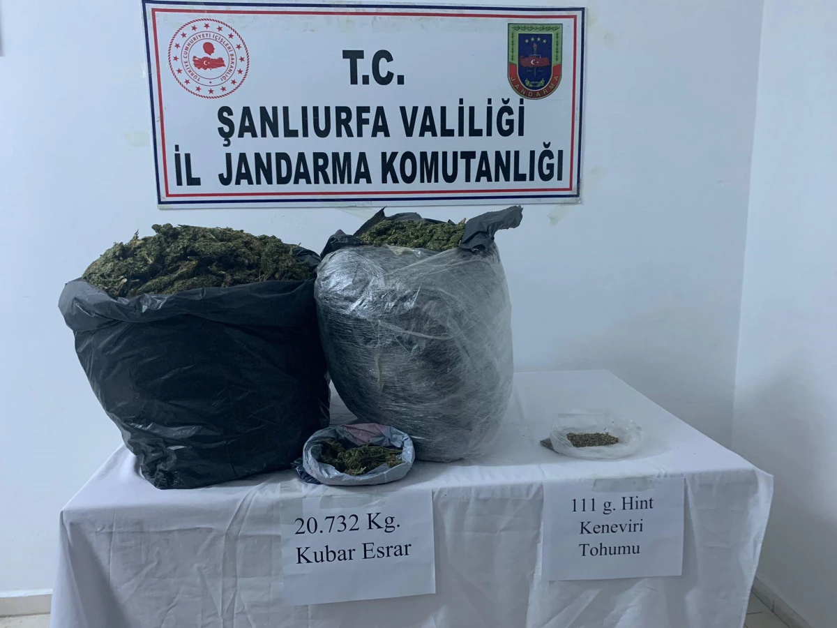 Son dakika... Şanlıurfa'da 20 kilogram esrar ele geçirildi, 1 şüpheli gözaltına alındı
