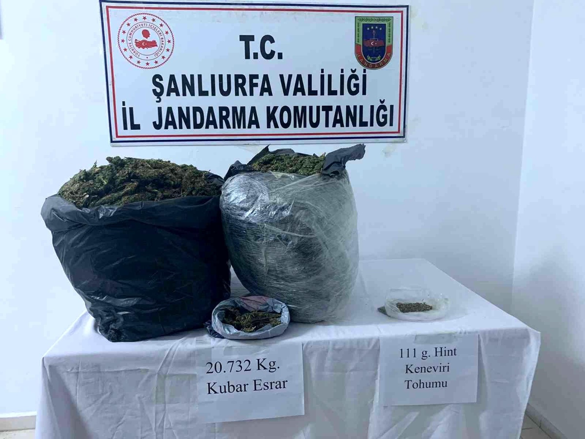 Son dakika haber! Temin ettiği uyuşturucuyu satamadan jandarma tarafından yakalandı