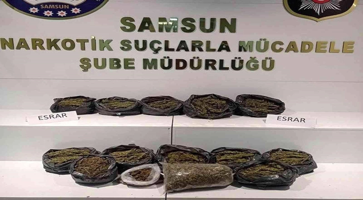 14 kilo 774 gram esrar saklandığı fındık bahçesinde ele geçirildi