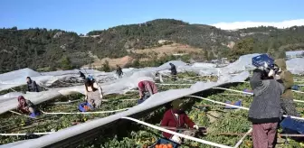 Antalya'da seraları bu defa poyraz fırtınası vurdu