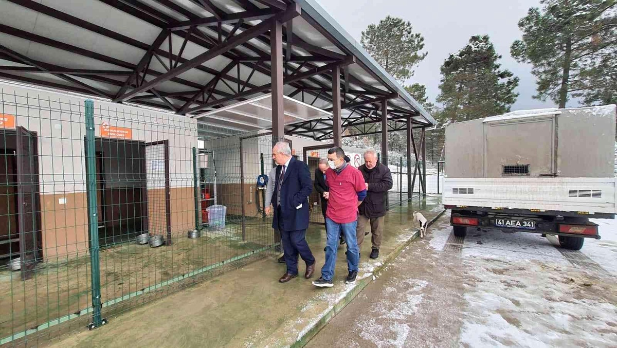 Başkan Aygün, Sokak Hayvanları Rehabilitasyon Merkezi\'ni inceledi