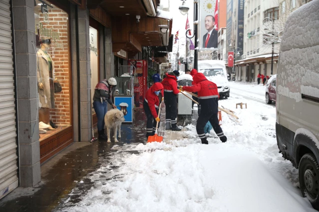 Diyarbakır ve Mardin'de kar yaşamı olumsuz etkiledi