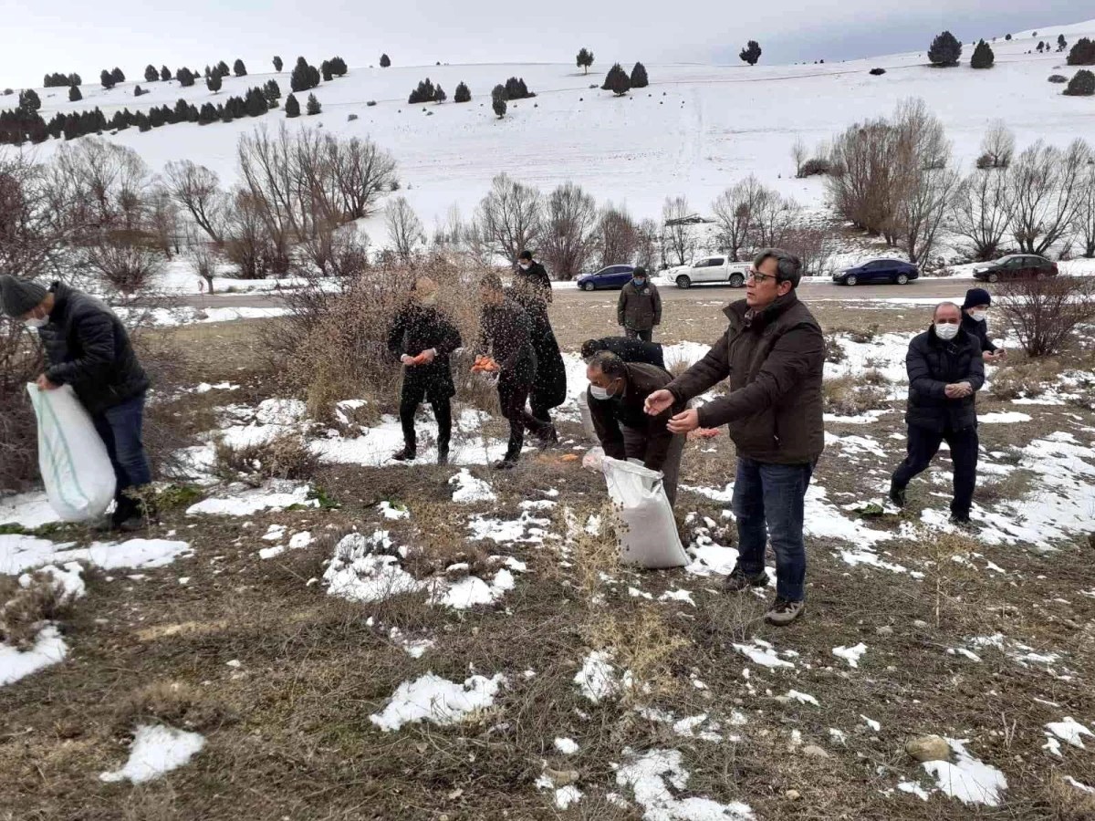 Pınarbaşı\'nda doğaya yem bırakıldı