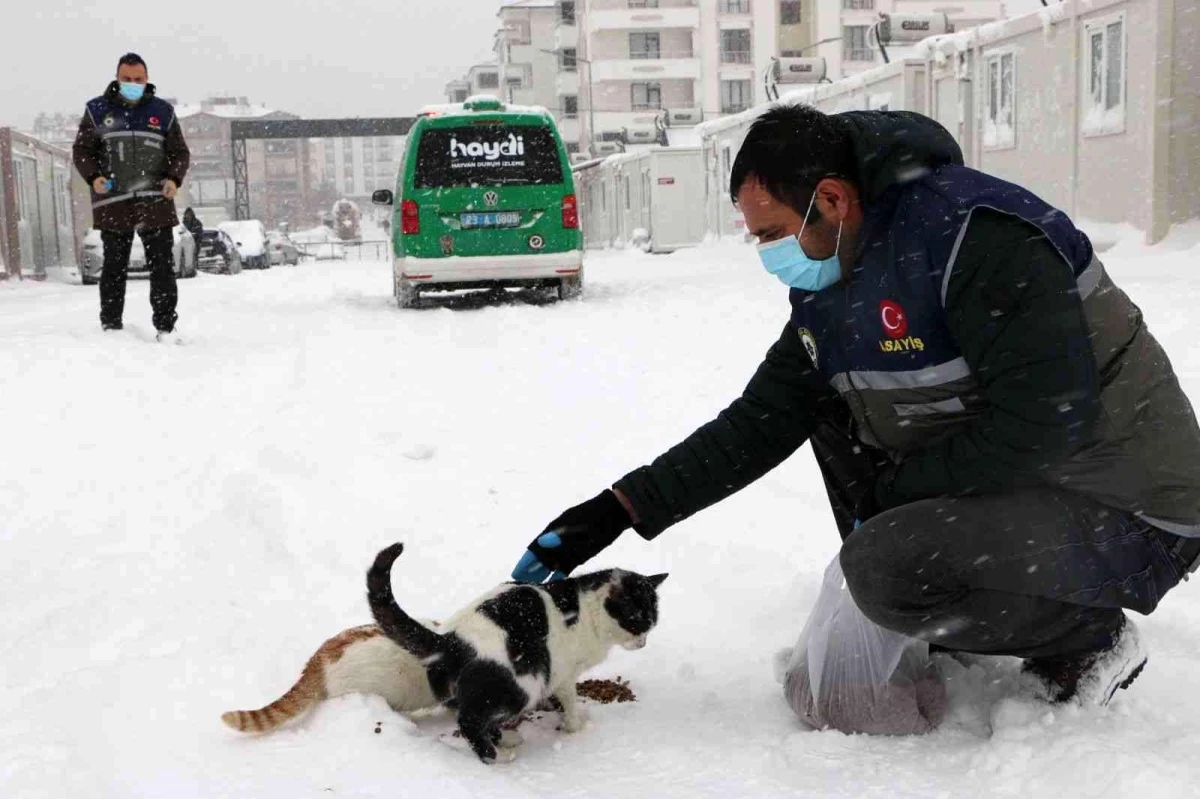 Elazığ\'da \'HAYDİ\' polisleri sokak hayvanlarını mamayla besledi