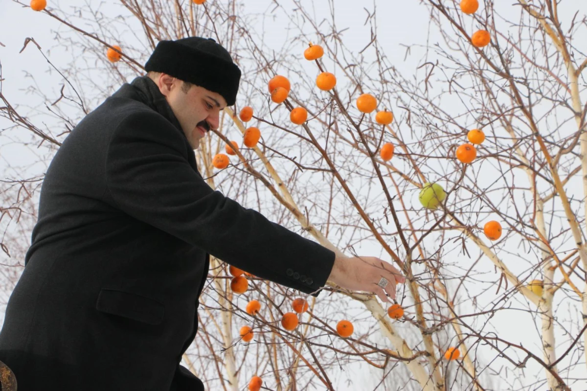 Erzurum\'da kuşlar için yuva yerleştirilen ağaçların dalları da meyvelerle donatıldı