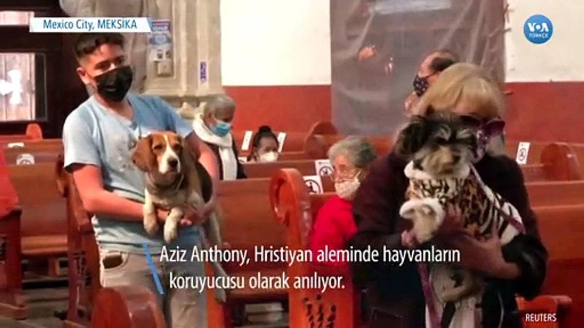 Evcil Hayvanlarla Kilisede Ayin