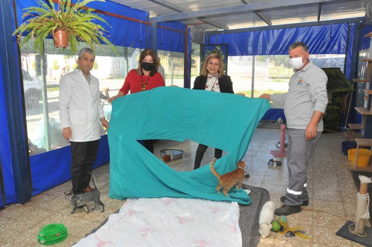 Son Dakika | Hastanenin eski tekstil ürünleri barınakta yatak oluyor