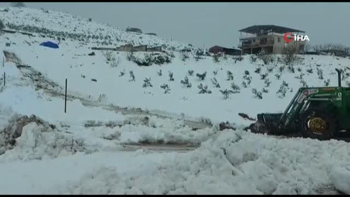 Hatay'da ahır enkazı altında kalan hayvanlar kurtarılmayı bekliyor