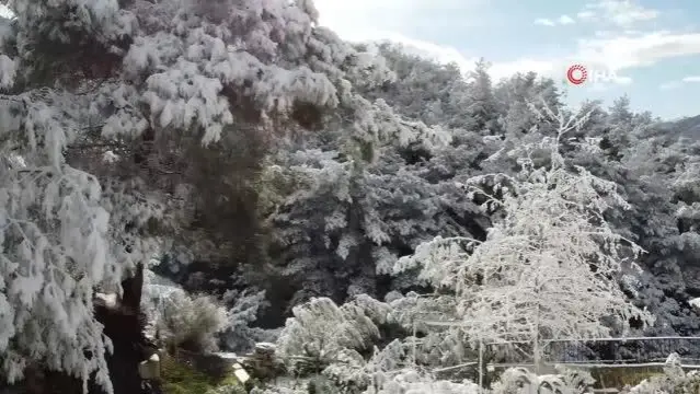 Hatay'da karla gelen kartpostallık görüntüler