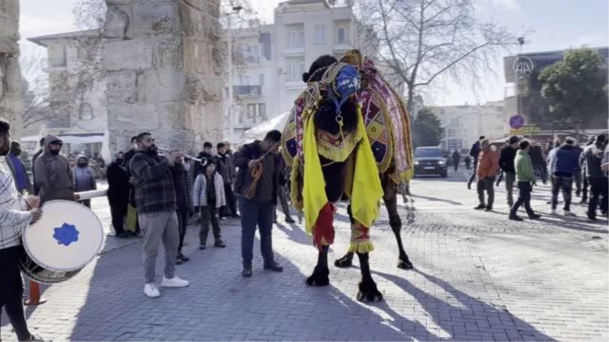 İSTANBUL/İZMİR - Batı Anadolu\'nun ortak tutkusu: "Pehlivan develer"