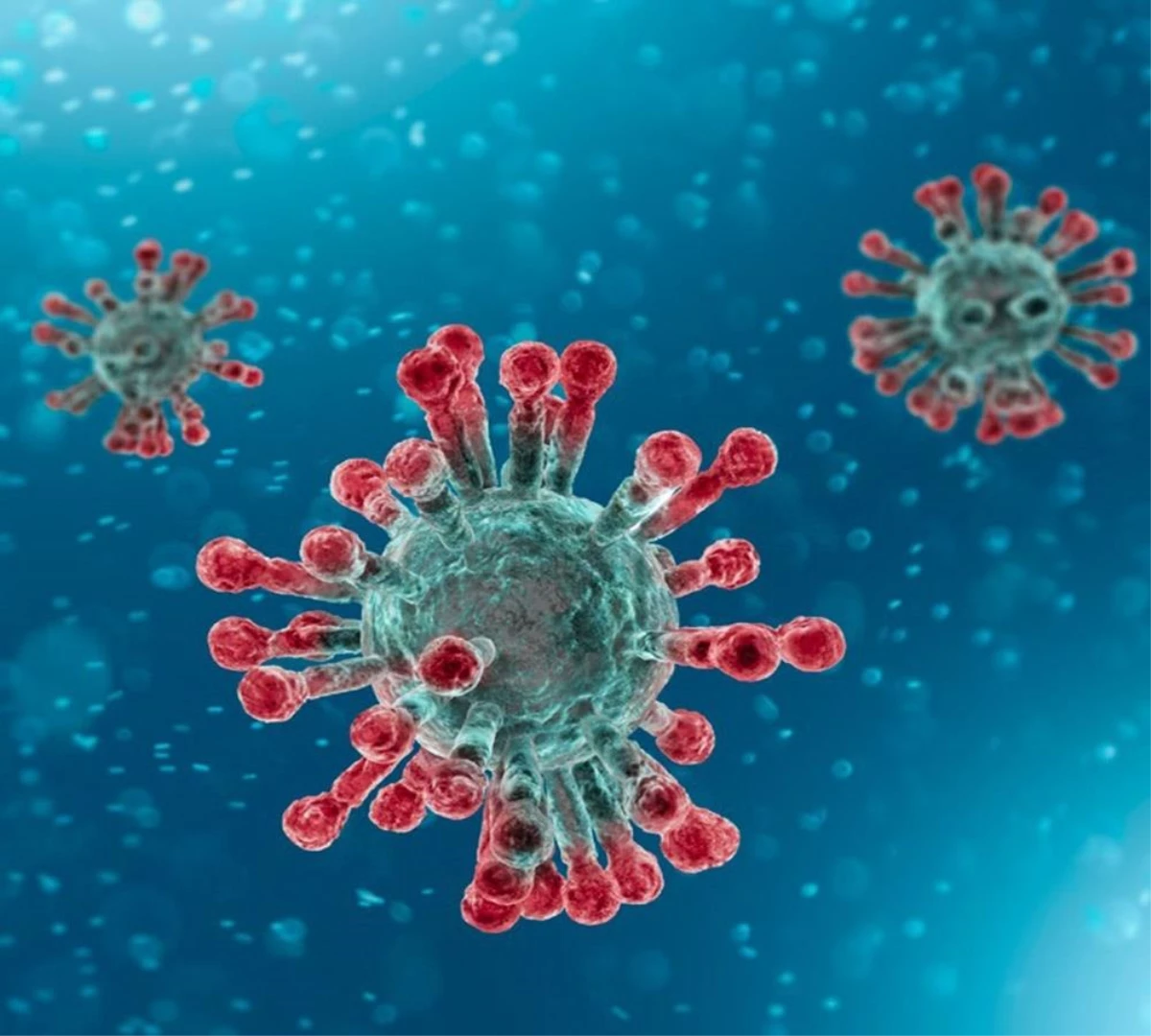 "Korona virüs yayılmaya devam ettiği sürece yeni varyant ve mutasyonlar göreceğiz"