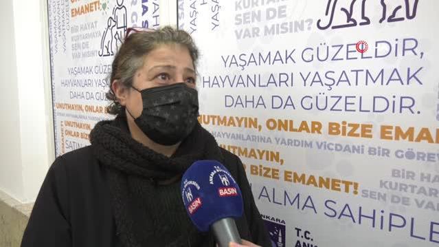 Kurtuluş Sokak Hayvanları Sağlık Merkezi'nin tedavi cihazları yenilendi