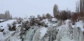 Muradiye Şelalesi dondu