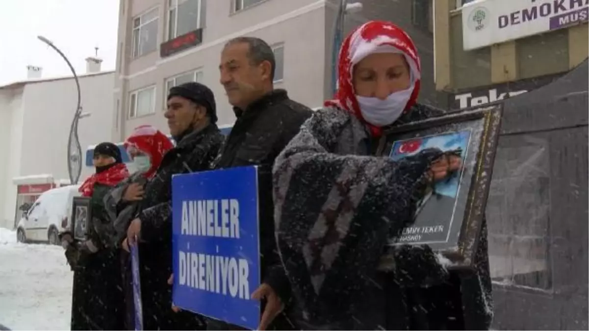 Muş'ta ailelerin kar altında evlat nöbeti