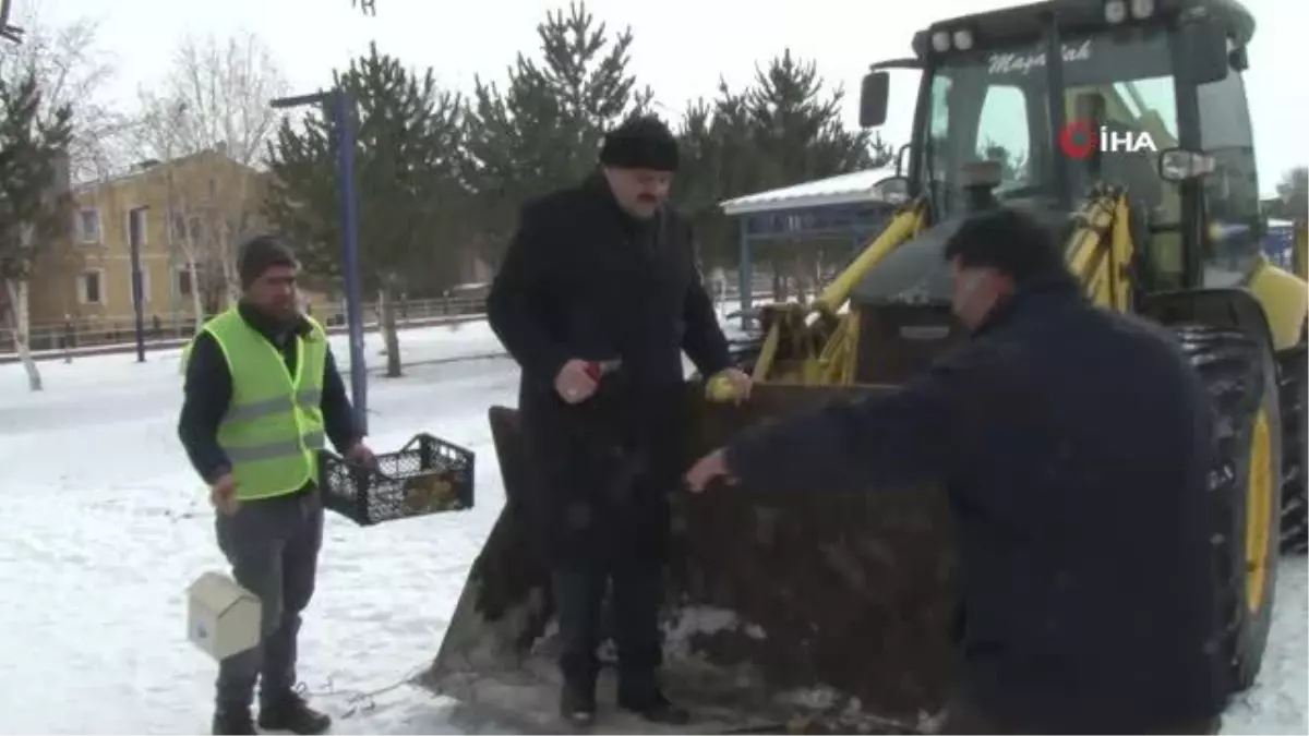 Osmanlıdan kalan yaban hayvanları için ağaçlara meyve asma geleneği burada yaşatılıyor
