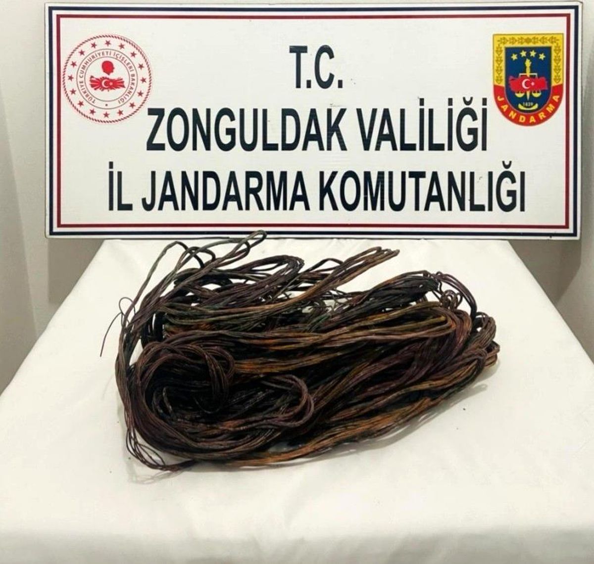 Parke makinelerinin 30 bin TL\'lik kablolarını çaldılar