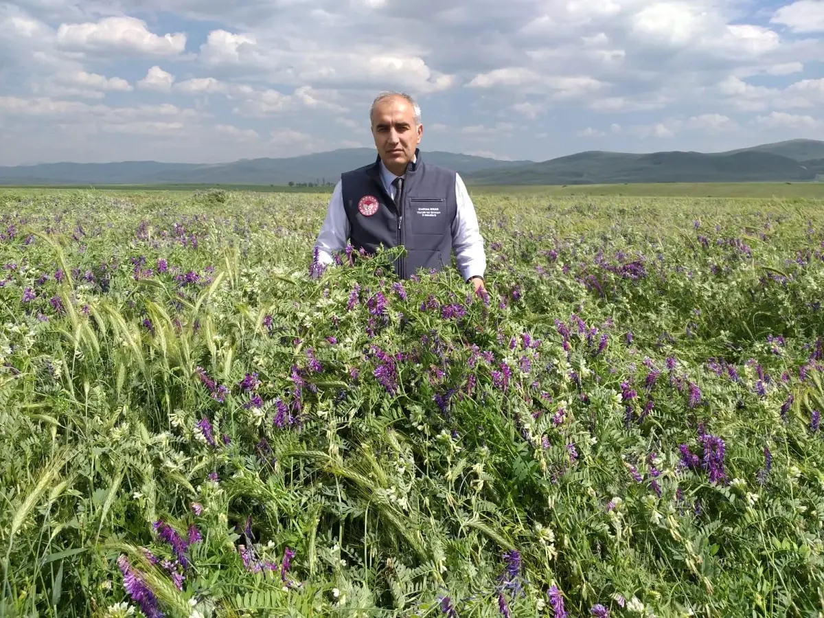 Tarımsal desteklemelerde rekor