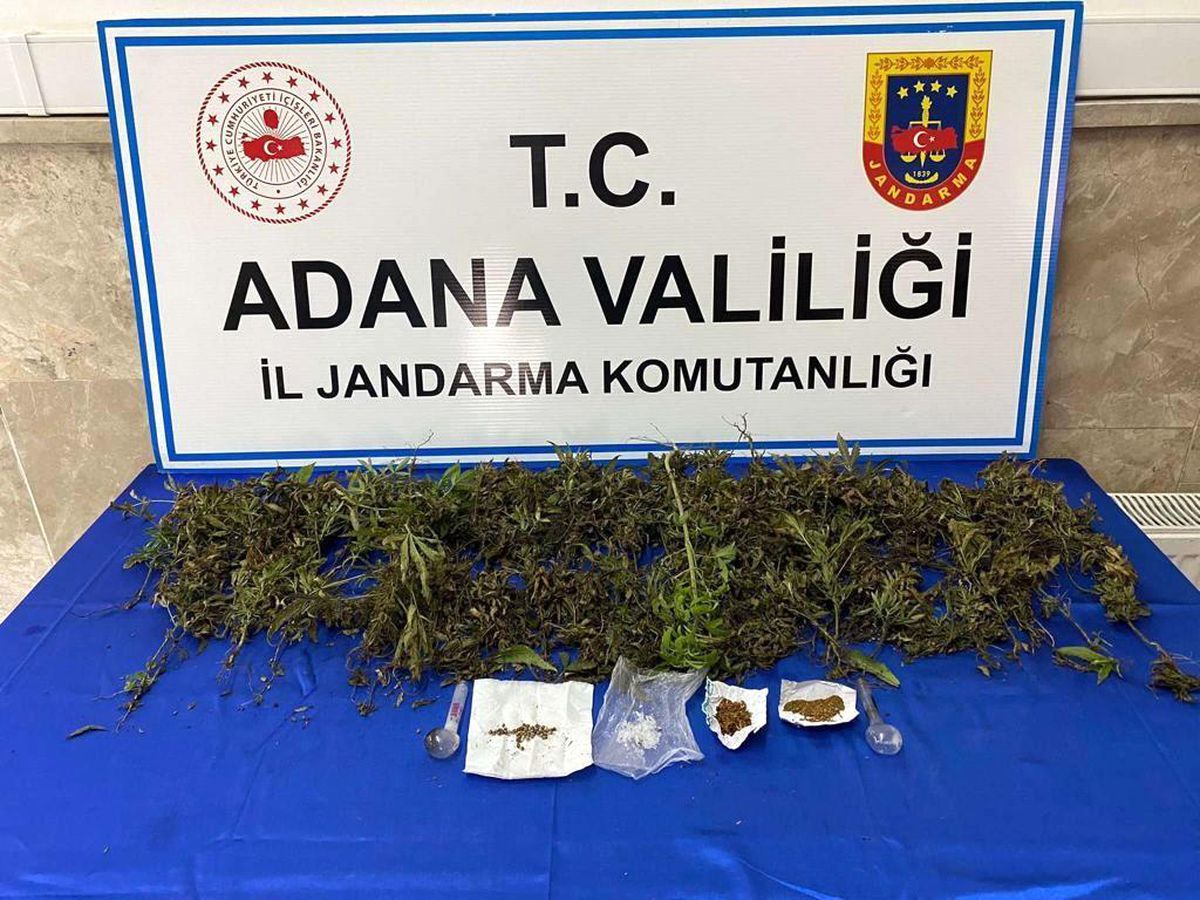 Adana\'da 232 adet kök kenevir bitkisi ele geçirildi