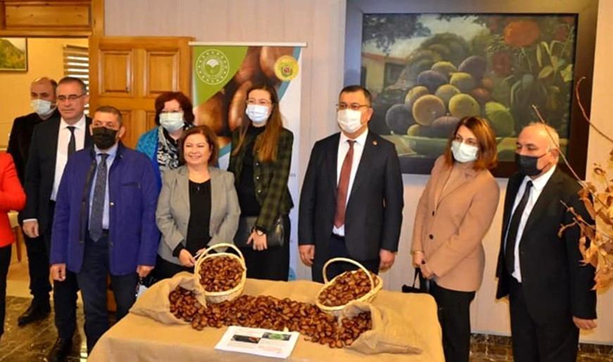 Aydın\'da \'Kestane Farkındalık Günü\' etkinliği düzenlendi