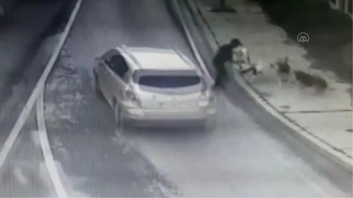 Bakırköy\'de iş adamı sokak köpeklerinin saldırısında yaralandı