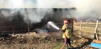 Çan'da 300 adet saman balyası yandı