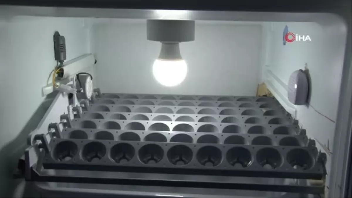 Görme engelli mesai arkadaşının hayalini böyle gerçekleştirdi