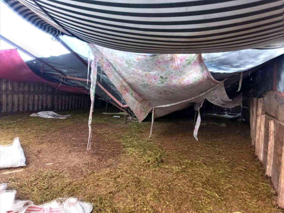 Kar nedeniyle çöken ağılda 28 küçükbaş hayvan telef oldu