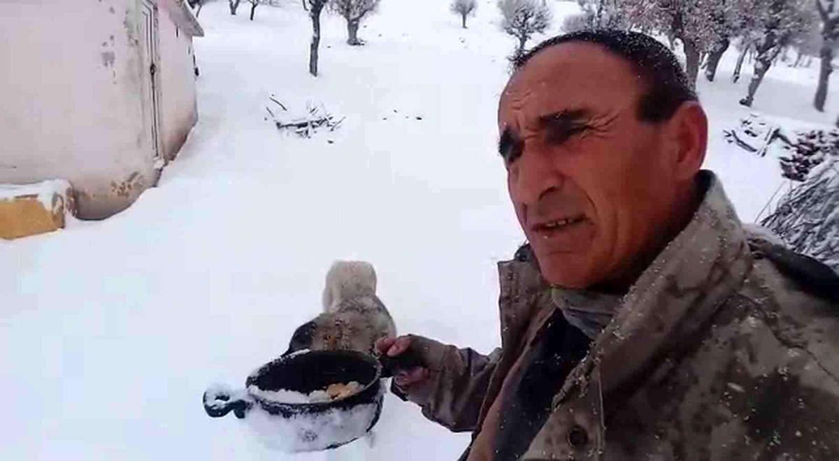 Kendi yemeğini sokak hayvanlarıyla paylaştı