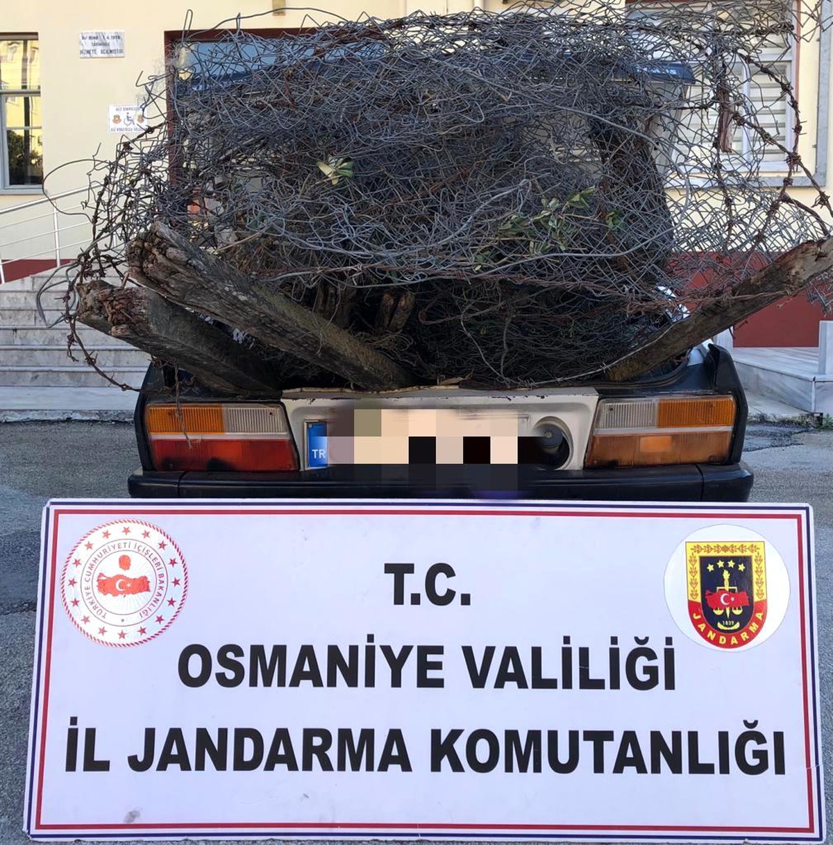Osmaniye\'de bağ, bahçe ve tarladan hırsızlık yapan zanlılar yakalandı