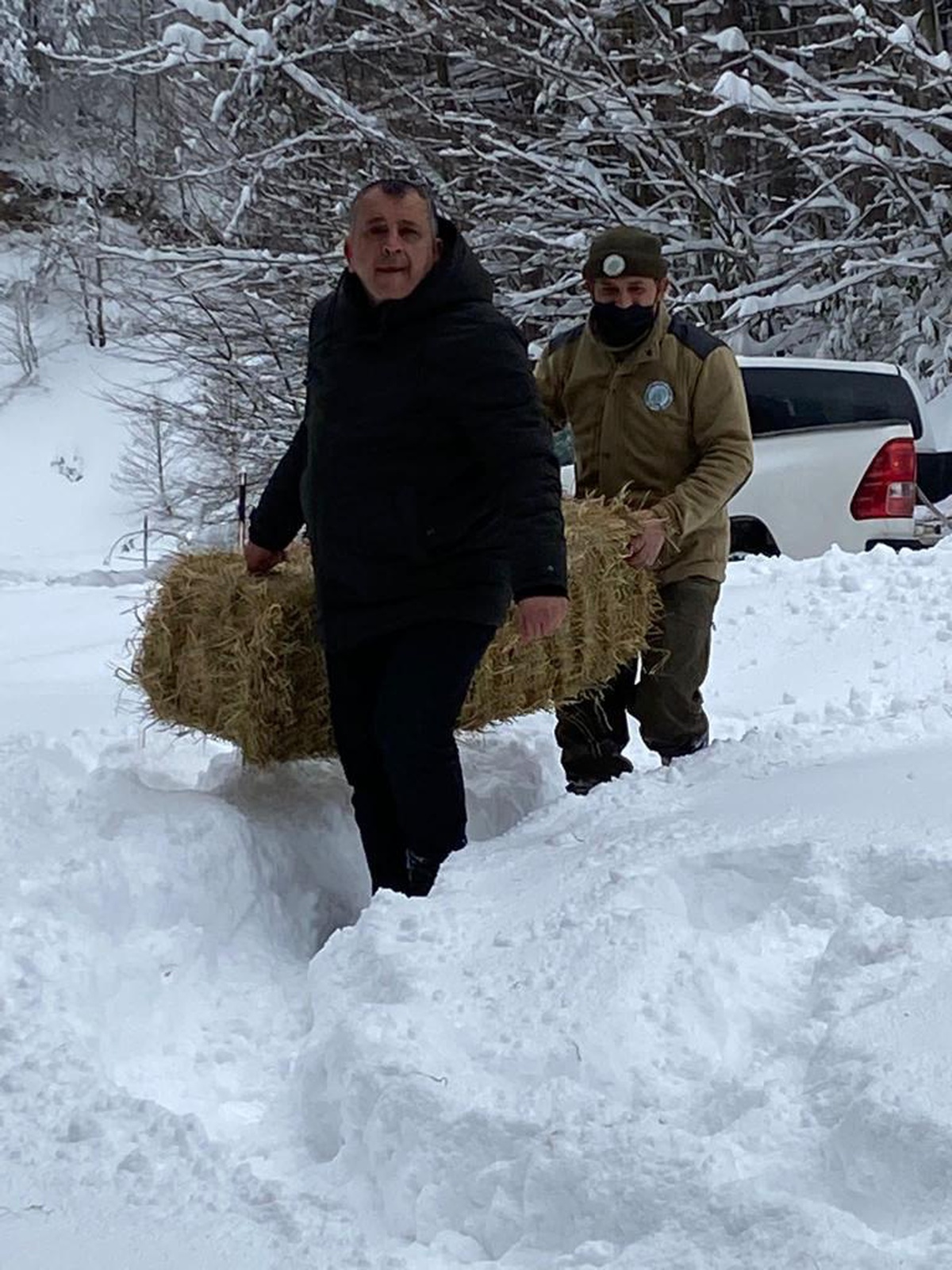 Sakarya ve Düzce\'de hayvanlar için doğaya yiyecek bırakıldı